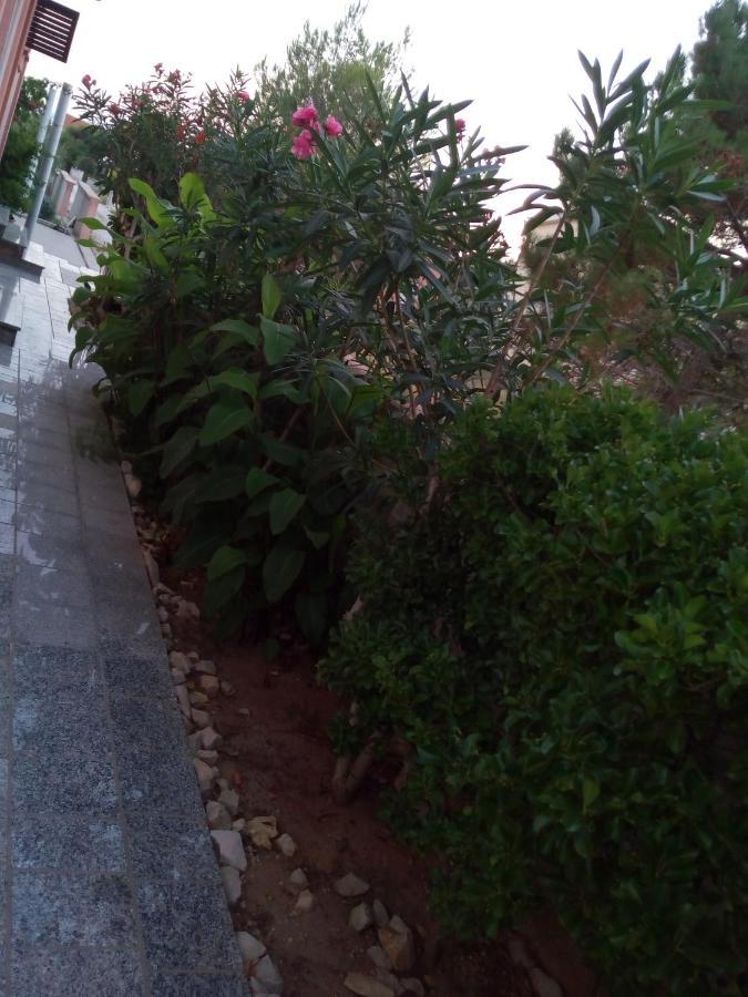Maslina Apartment Vir Exterior foto